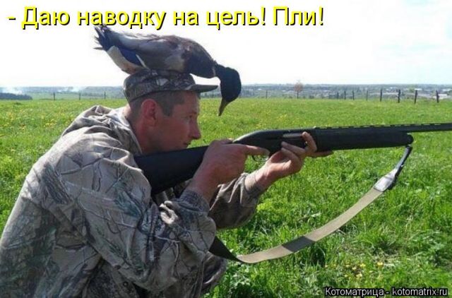 Лучшие котоматрицы недели