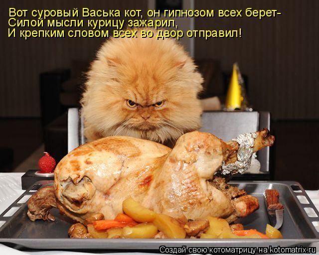 Лучшие котоматрицы недели
