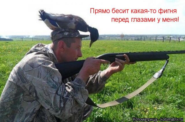 Лучшие котоматрицы недели