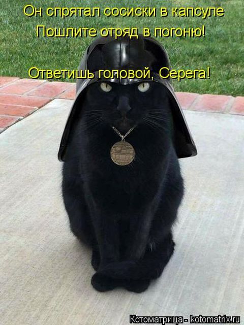 Лучшие котоматрицы недели