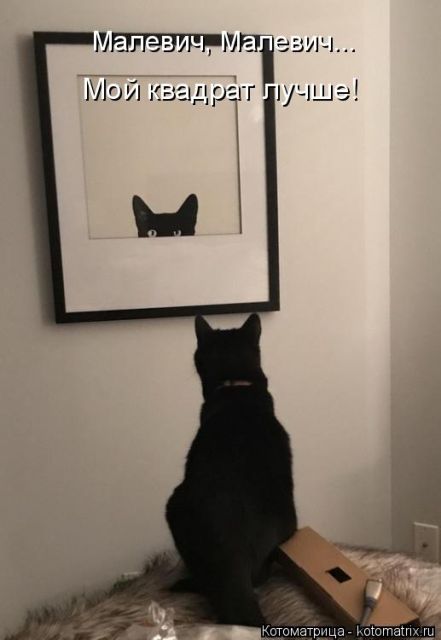 Лучшие котоматрицы недели
