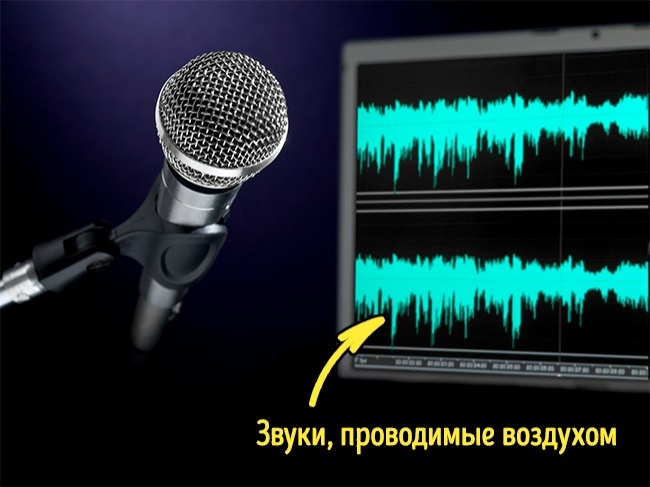 17 ответов на вопросы, которые вы хотели знать, но ленились гуглить