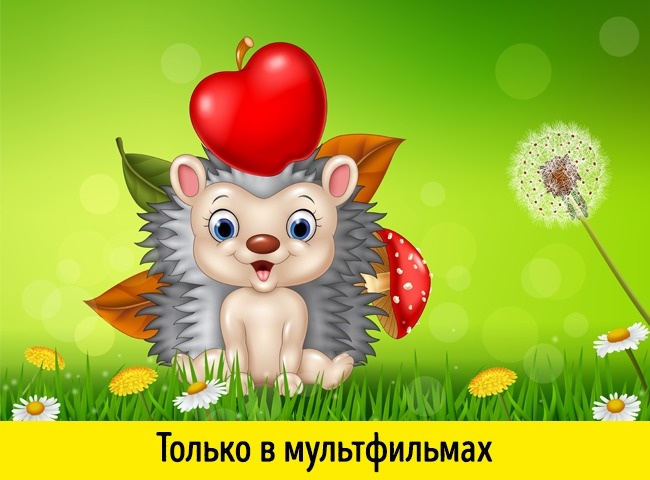 17 ответов на вопросы, которые вы хотели знать, но ленились гуглить