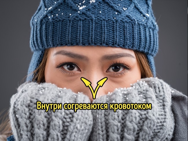 17 ответов на вопросы, которые вы хотели знать, но ленились гуглить