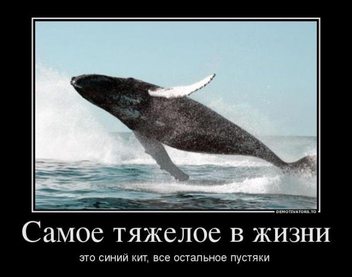 Демотвиаторы