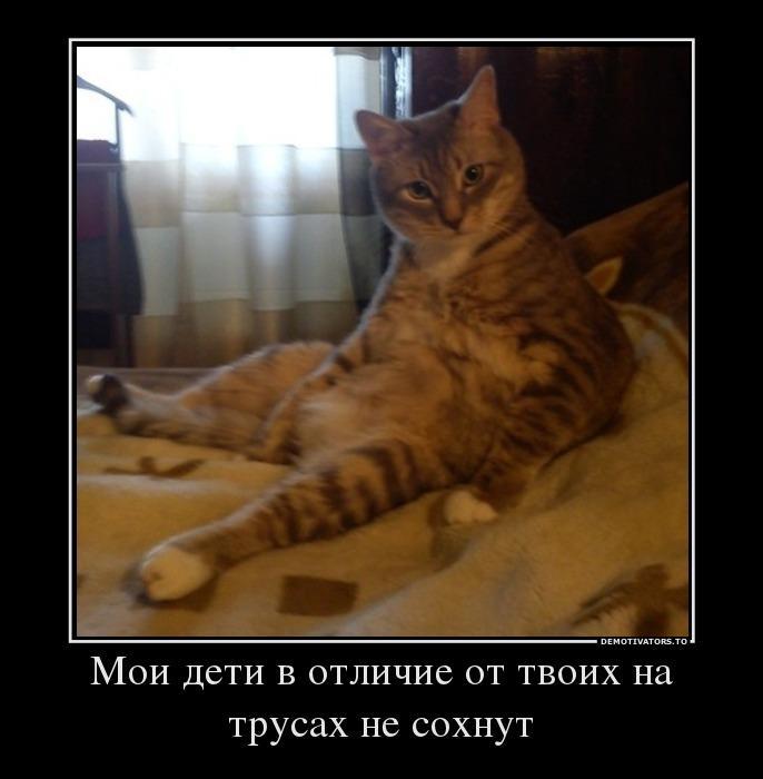 Демотвиаторы