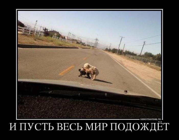 Демотвиаторы