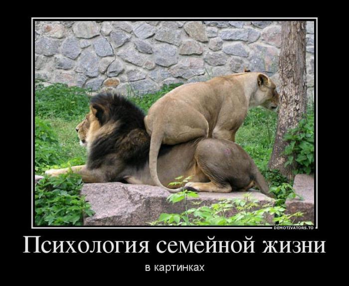 Демотвиаторы