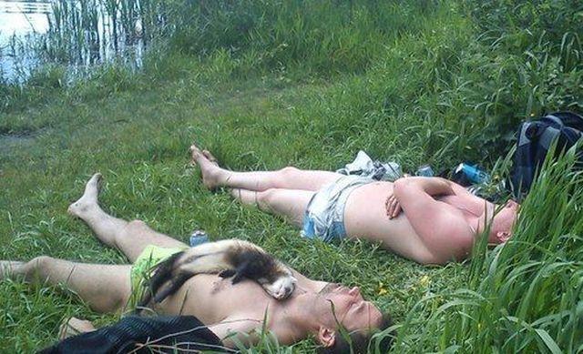 Прикольные картинки (82 фото)