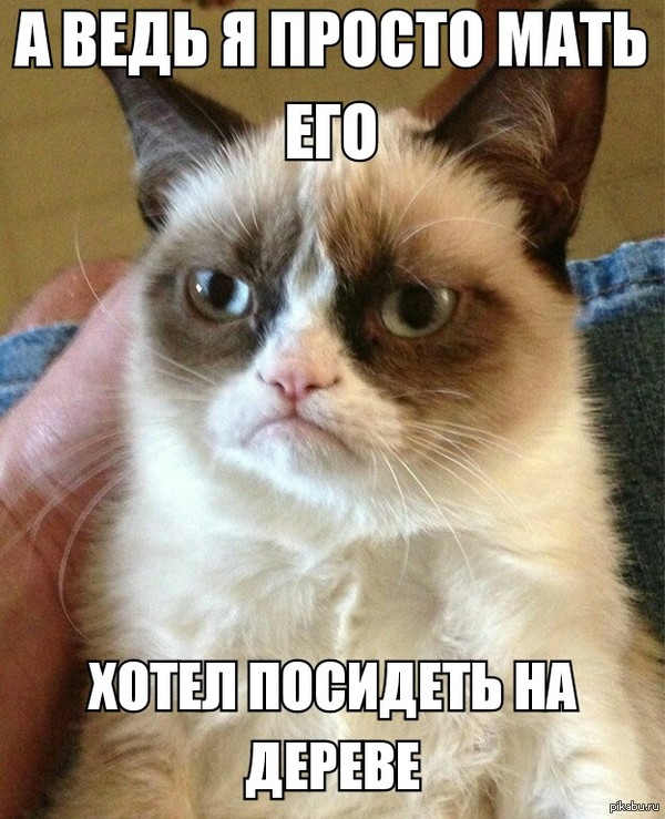 Барсиик!!!