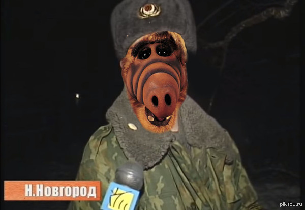 Барсиик!!!