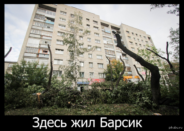 Барсиик!!!