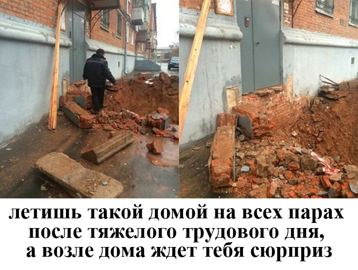 Порция картинок