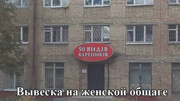 Порция картинок