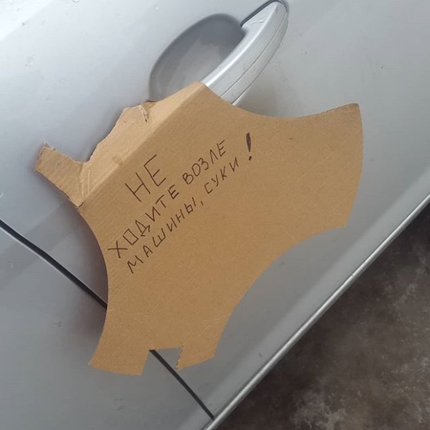 Прикольные картинки