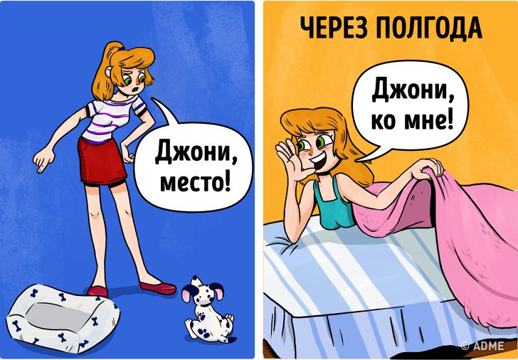 Вещи, которые делают все владельцы собак Вещи, которые делают все владельцы собак