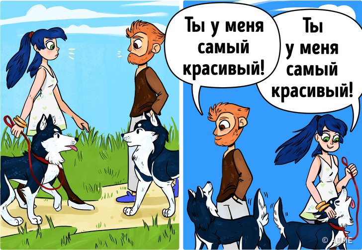 Вещи, которые делают все владельцы собак Вещи, которые делают все владельцы собак