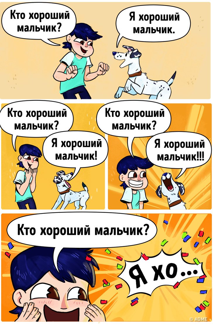 Вещи, которые делают все владельцы собак Вещи, которые делают все владельцы собак