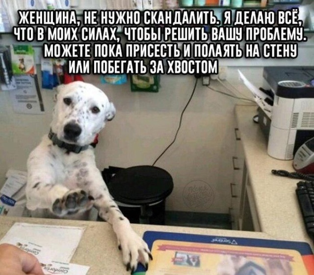 Специфический и нестандартный юмор