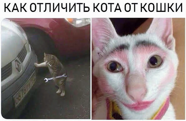 Специфический и нестандартный юмор
