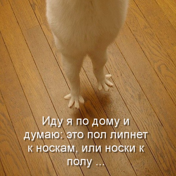 Специфический и нестандартный юмор