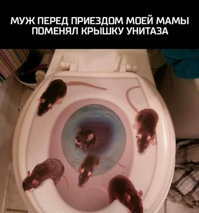 Специфический и нестандартный юмор
