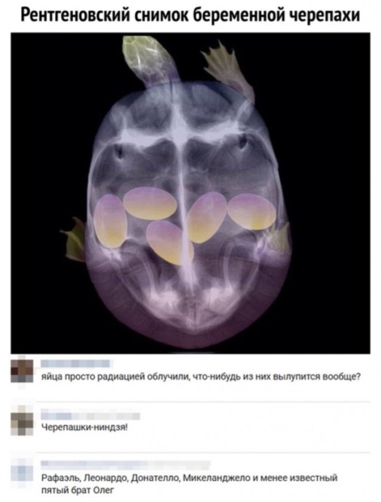 Специфический и нестандартный юмор