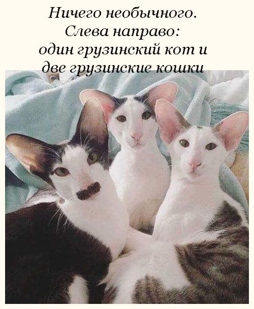 Специфический и нестандартный юмор