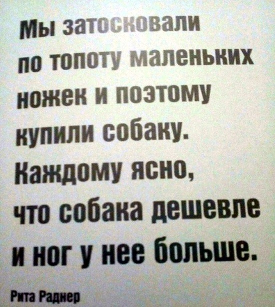 Специфический и нестандартный юмор