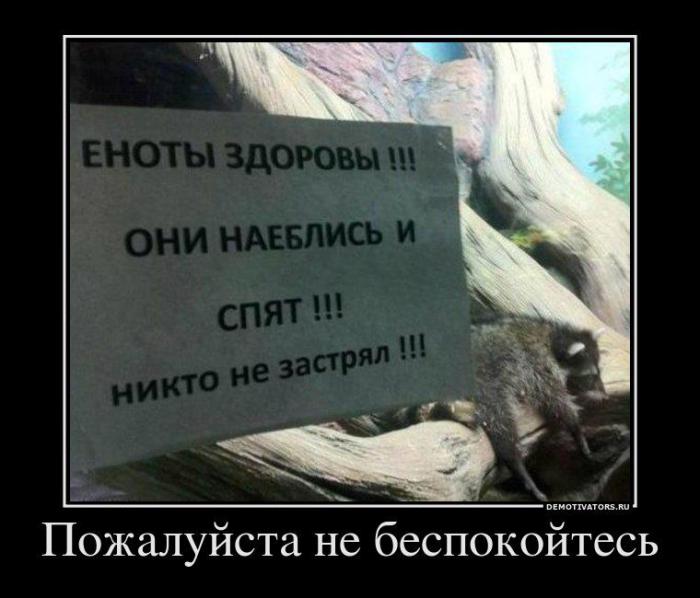 Демотиваторы