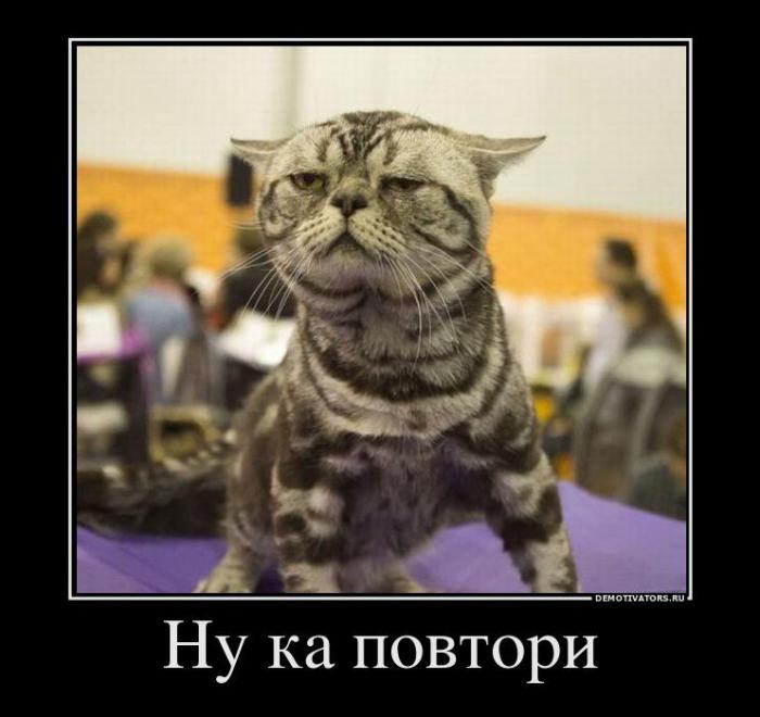 Демотиваторы