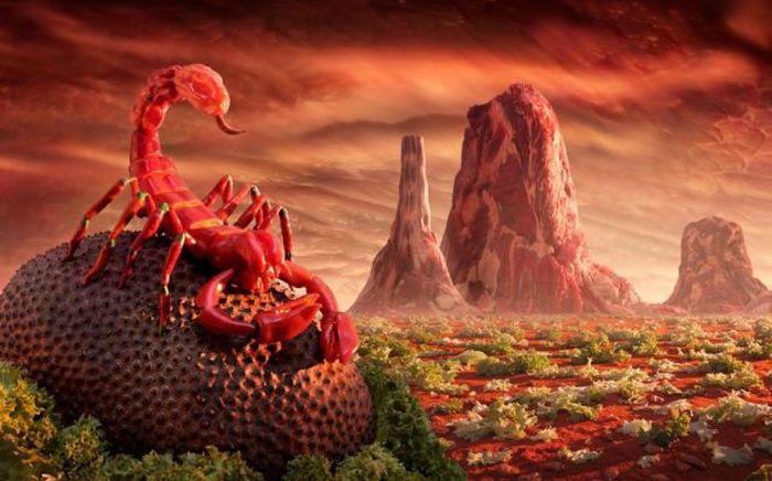 Прикольные картинки