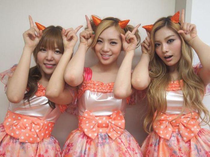 Прикольные картинки