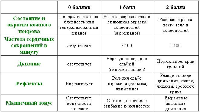 Полезнейшие изобретения, которые придумали женщины Полезнейшие изобретения, которые придумали женщины