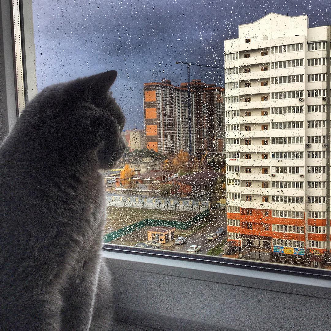 Самый благоустроенный город России Самый благоустроенный город России