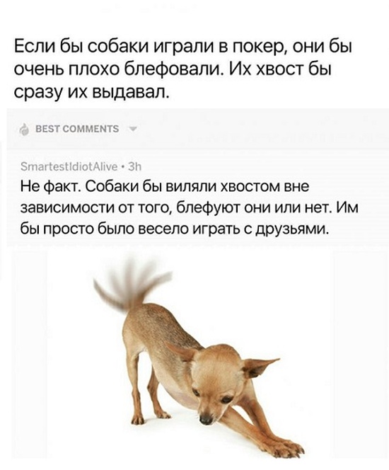 Комментарии и высказывания из социальных сетей
