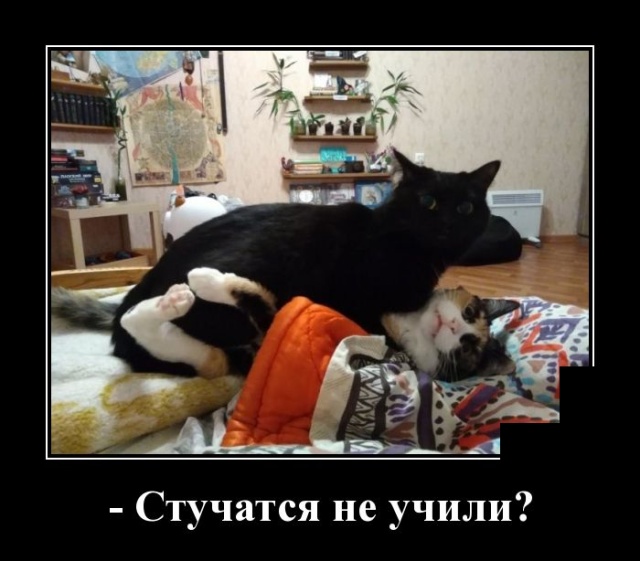 Демотиваторы