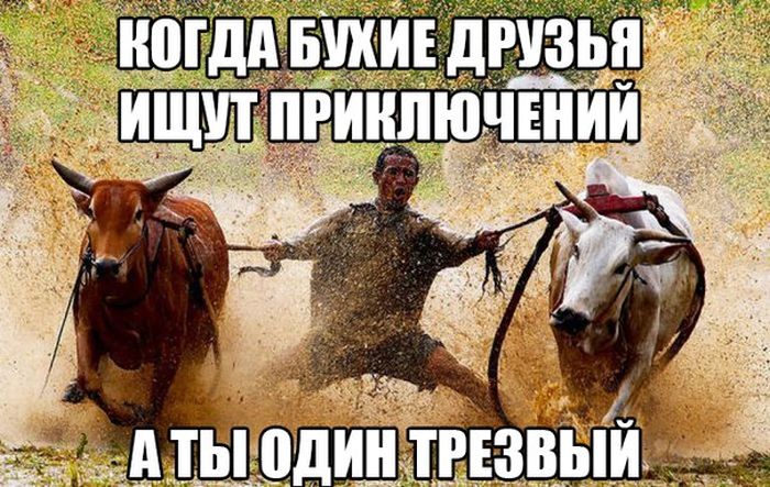 Порция картинок