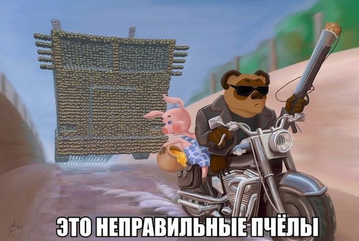 Порция картинок