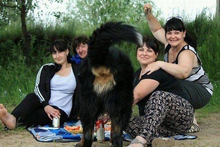 Порция картинок