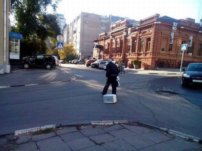 Порция картинок