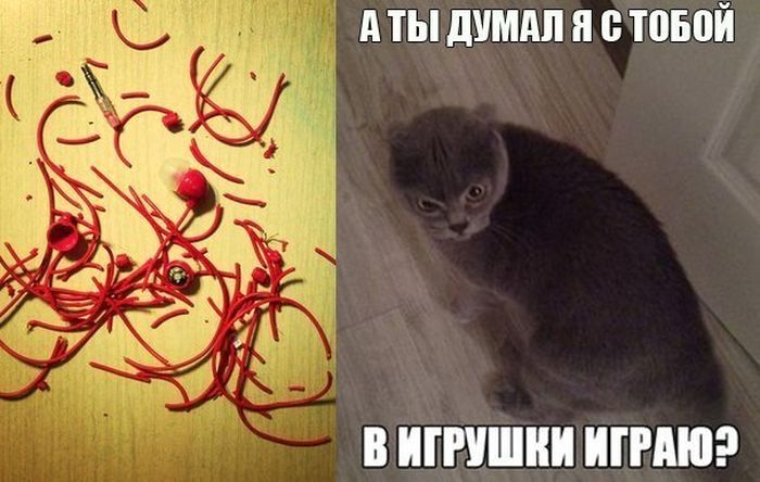 Порция картинок