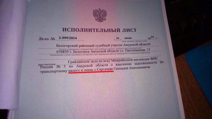 Порция картинок