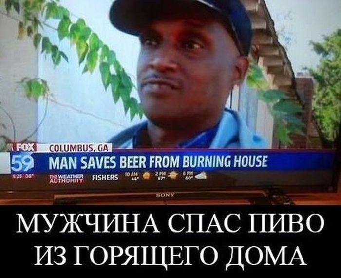 Порция картинок