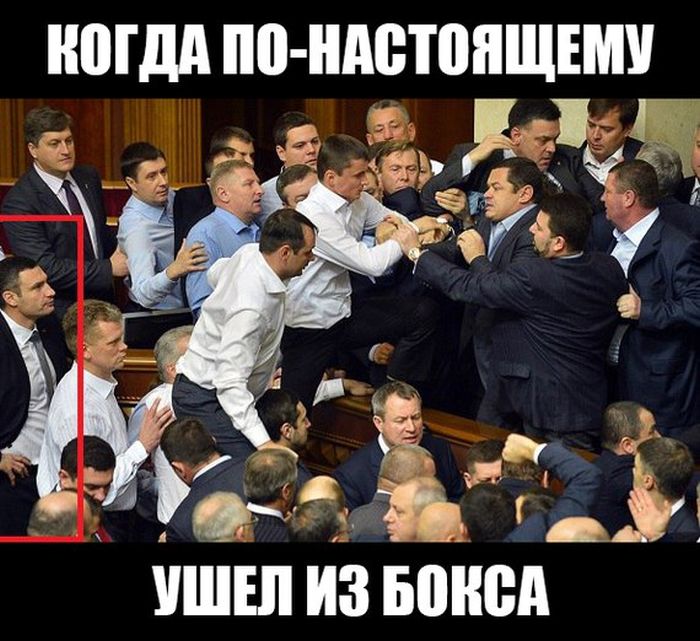 Порция картинок