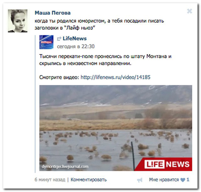 Смешные комментарии из социальных сетей