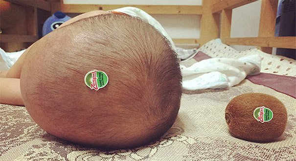 Съедобное или несъедобное? Съедобное или несъедобное?