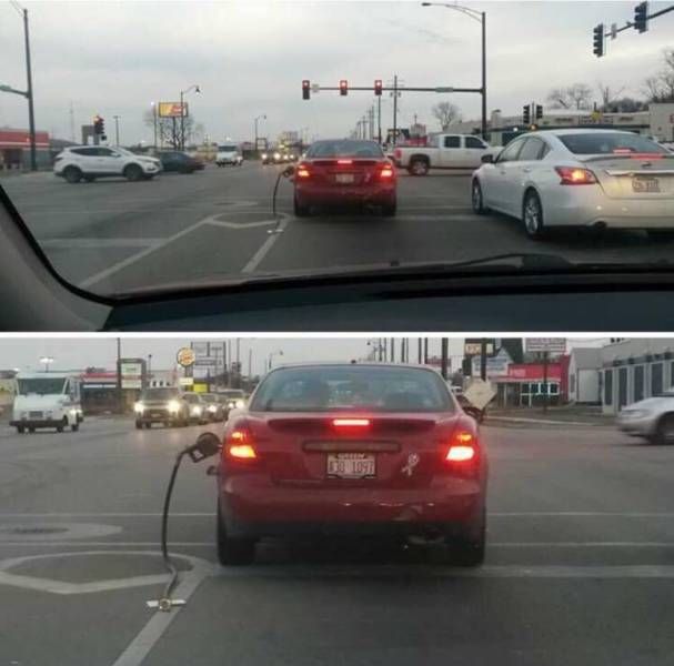 Прикольные картинки