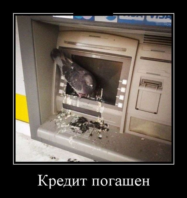 Демотиваторы