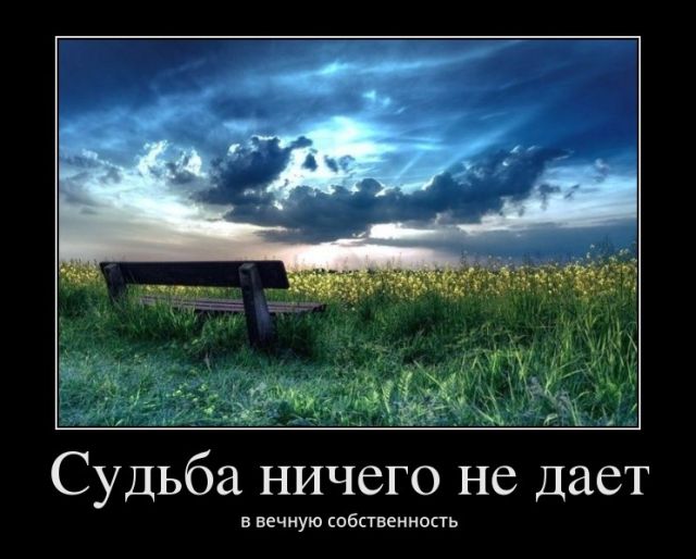 Демотиваторы